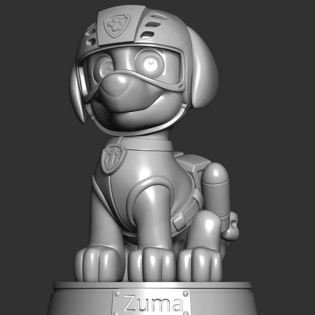 Zuma - Paw Patrol - These information of model:

**- The height of current model is 20 cm and you can free to scale it.**

**- Format files: STL, OBJ to supporting 3D printing.**

Please don't hesitate to contact me if you have any issues question. - The best files for 3D printing in the world. Stl models divided into parts to facilitate 3D printing. All kinds of characters, decoration, cosplay, prosthetics, pieces. Quality in 3D printing. Affordable 3D models. Low cost. Collective purchases of 3D files.