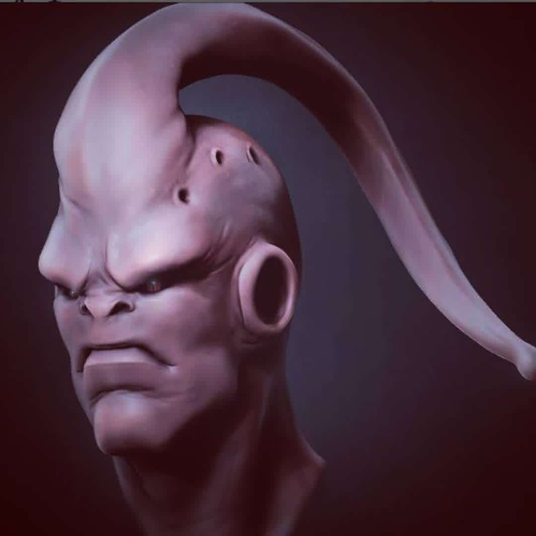 Bhu bust - this is Bhu character from Dragon Ball Z universe - The best files for 3D printing in the world. Stl models divided into parts to facilitate 3D printing. All kinds of characters, decoration, cosplay, prosthetics, pieces. Quality in 3D printing. Affordable 3D models. Low cost. Collective purchases of 3D files.