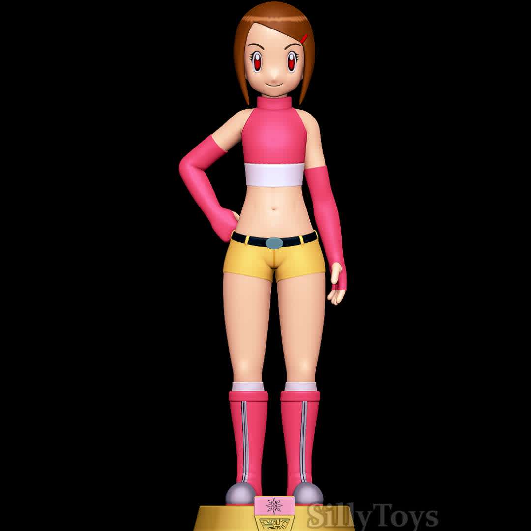 Hikari Yagami - Digimon - Good old Hikari Yagami - The best files for 3D printing in the world. Stl models divided into parts to facilitate 3D printing. All kinds of characters, decoration, cosplay, prosthetics, pieces. Quality in 3D printing. Affordable 3D models. Low cost. Collective purchases of 3D files.