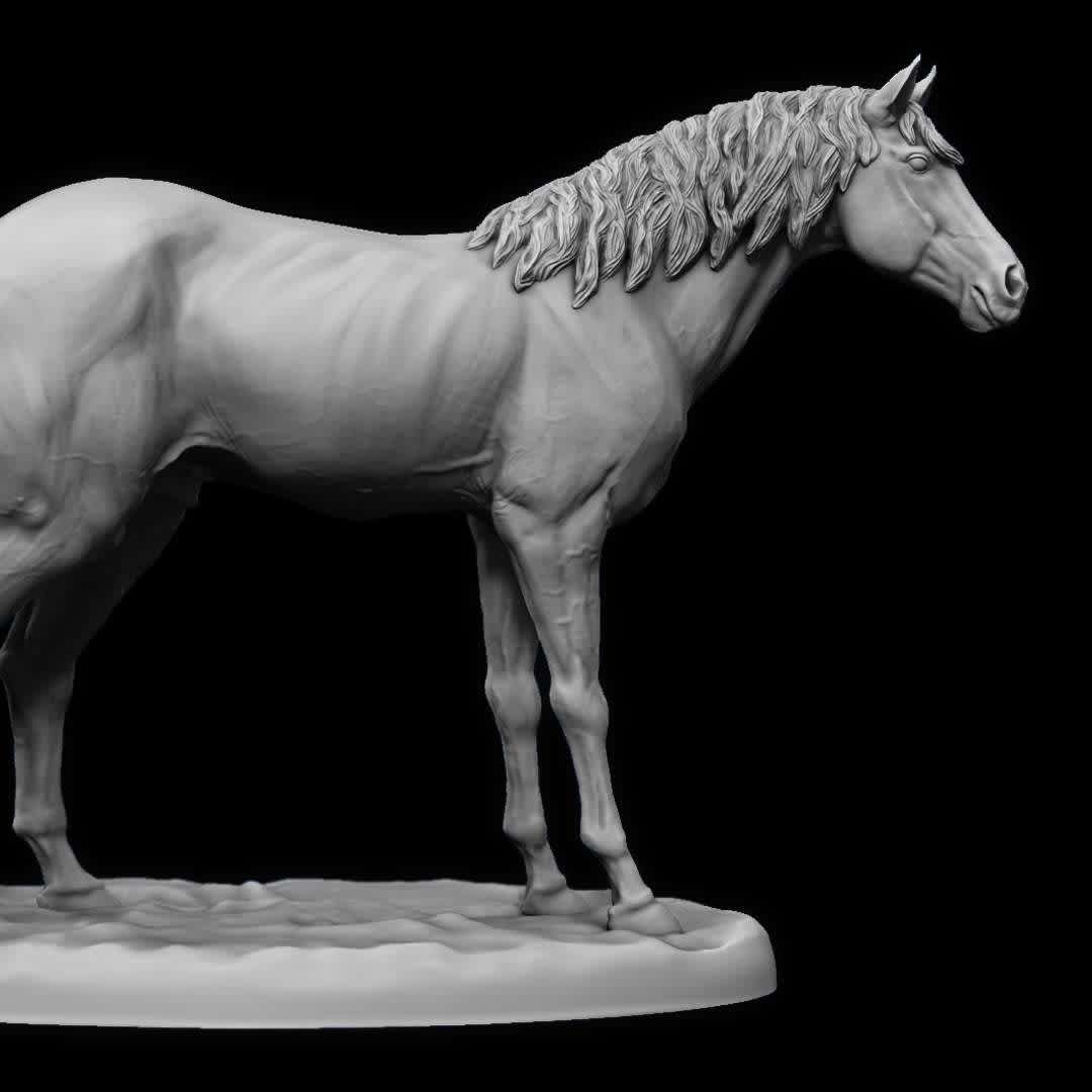 Horse Tabletop miniature  - RPG - I made this horse for studies. I'm making the file available free of charge for printing at 32mm scale (tabletop) - The best files for 3D printing in the world. Stl models divided into parts to facilitate 3D printing. All kinds of characters, decoration, cosplay, prosthetics, pieces. Quality in 3D printing. Affordable 3D models. Low cost. Collective purchases of 3D files.