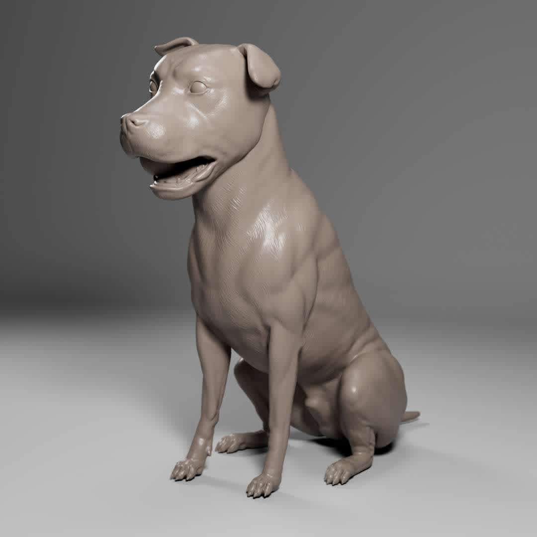 CO3D - Pitbull - Dog Pet 01 3D print model