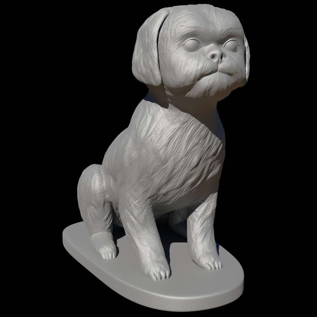 Seated Shih Tzu  - Shih Tzus were (and are!) prized for their companionship, and these adorable, plush canines are deeply loyal, affectionate, and always down to cuddle, which is why they're widely loved across class lines today. The Shih Tzu is family-friendly and adaptable, and their gorgeous locks are enchanting. 

 This 3d model were sculpted especially for  3d printing.

If you love Shih-tzu this model is for you .

Enjoy !!!

There is  no need to use any kind of  supports ,but i would recommend to use brim just o normalize the flow.

The model showed in the pictures were printed with pla and  0,1 mm resolution.
 - The best files for 3D printing in the world. Stl models divided into parts to facilitate 3D printing. All kinds of characters, decoration, cosplay, prosthetics, pieces. Quality in 3D printing. Affordable 3D models. Low cost. Collective purchases of 3D files.