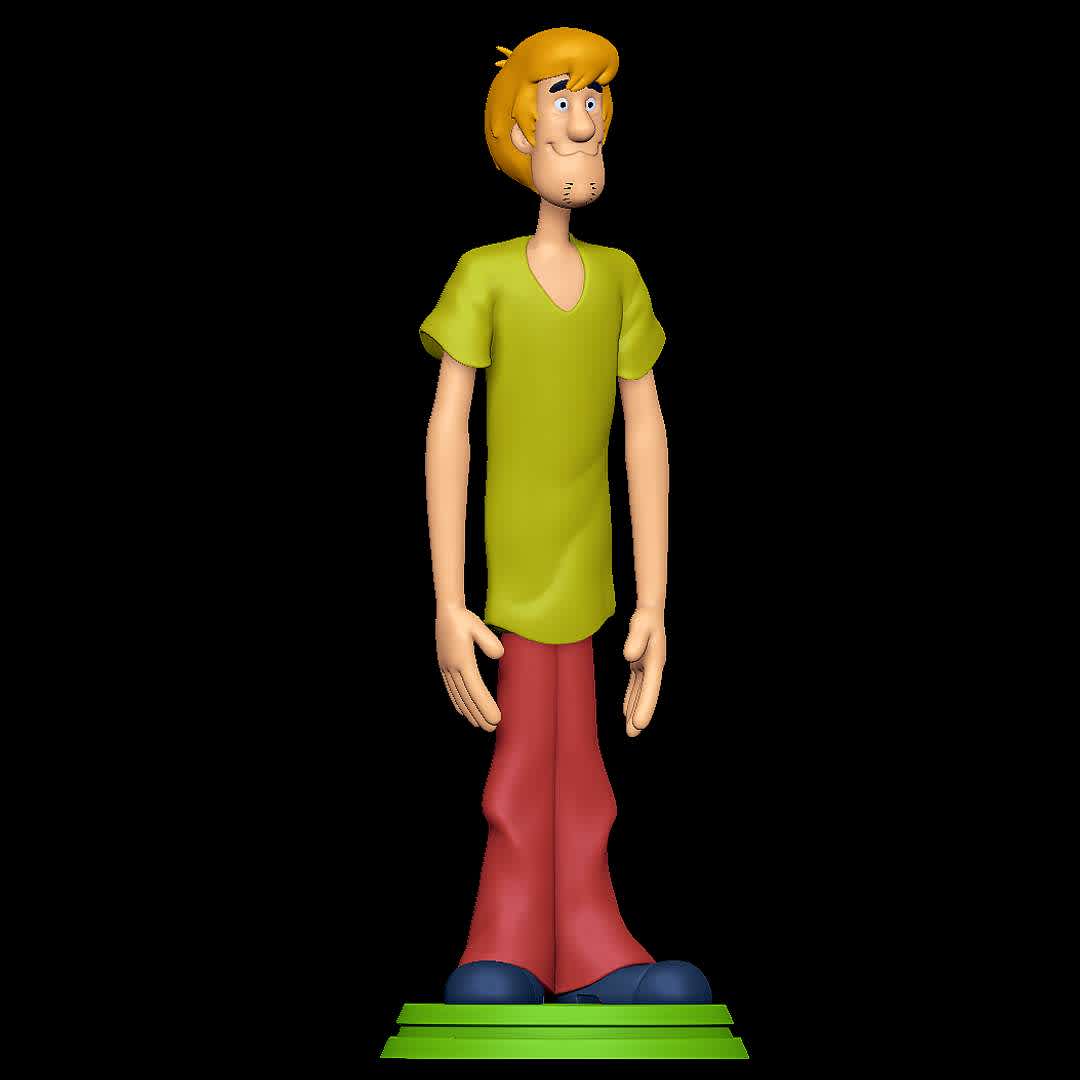 Shaggy - Scooby Doo - Classic one - The best files for 3D printing in the world. Stl models divided into parts to facilitate 3D printing. All kinds of characters, decoration, cosplay, prosthetics, pieces. Quality in 3D printing. Affordable 3D models. Low cost. Collective purchases of 3D files.