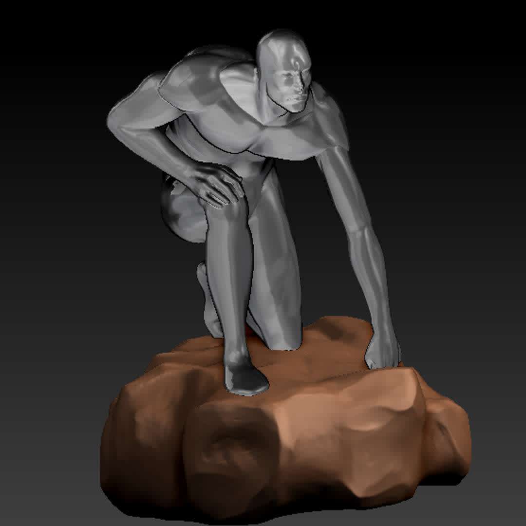 Silver Surfer - Norrin Radd - W.I.P. - The best files for 3D printing in the world. Stl models divided into parts to facilitate 3D printing. All kinds of characters, decoration, cosplay, prosthetics, pieces. Quality in 3D printing. Affordable 3D models. Low cost. Collective purchases of 3D files.