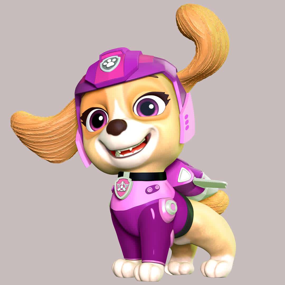 CO3D Skye Pilot The Movie co3d-skye-pilot-the-movie