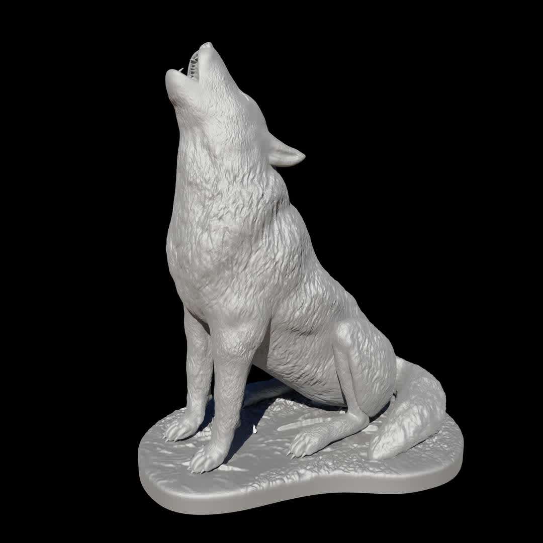 Wolf howling - Lobo Uivando - “The wolf that one hears is worse than the orc that one fears. “ 
J R R Tolkien

 This 3d model were sculpted especially for  3d printing.

If you love wolves or the wild life in general this model is for you , when modelling it i tried to be loyal to the animal anatomy as much as i could.

Enjoy !!!

There is  no need to any kind of  supports ,but i would recommend to use brim.

The wolf in the pictures were printed with pla and  0,08 mm resolution .
 - The best files for 3D printing in the world. Stl models divided into parts to facilitate 3D printing. All kinds of characters, decoration, cosplay, prosthetics, pieces. Quality in 3D printing. Affordable 3D models. Low cost. Collective purchases of 3D files.