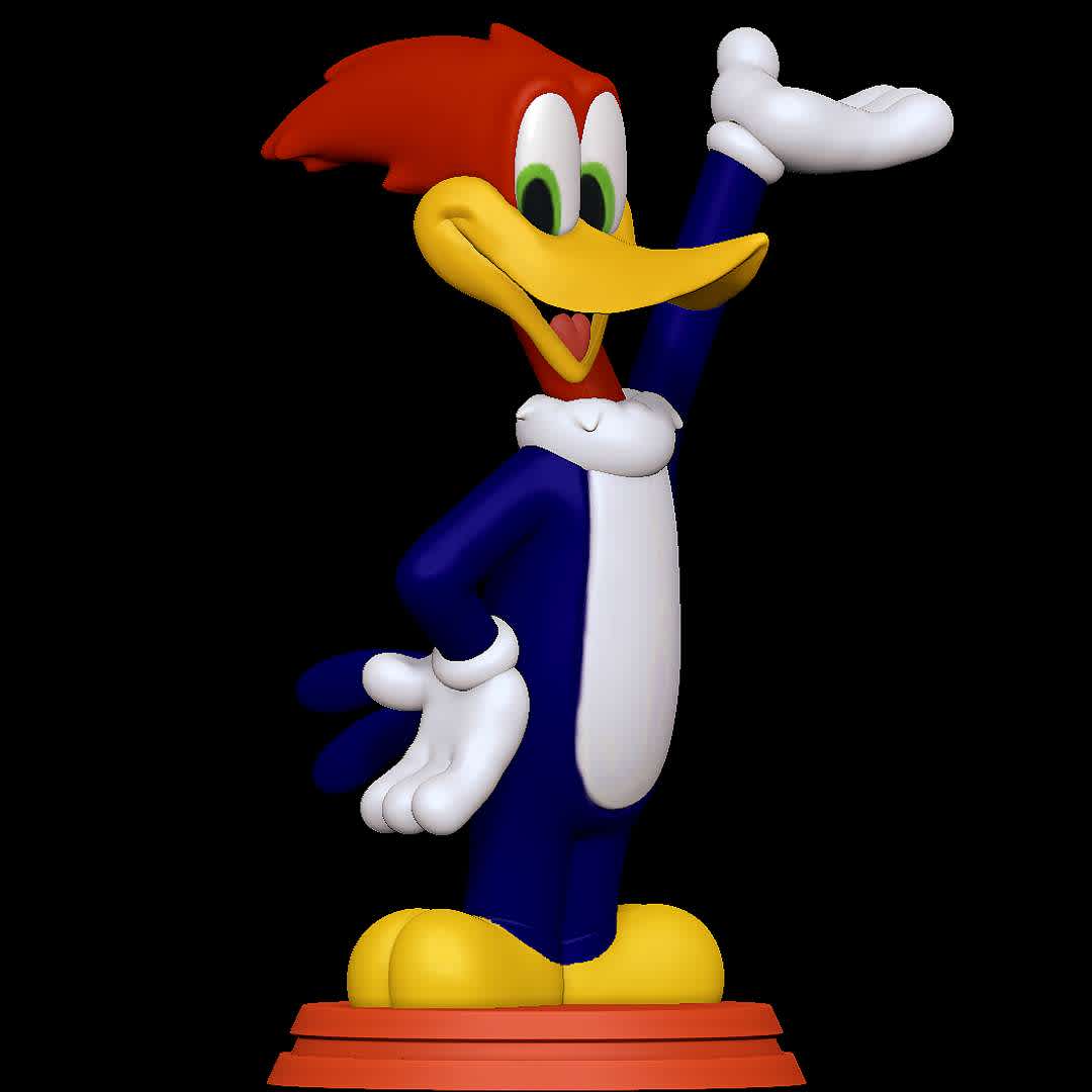 Woody Woodpecker - Classic one
 - The best files for 3D printing in the world. Stl models divided into parts to facilitate 3D printing. All kinds of characters, decoration, cosplay, prosthetics, pieces. Quality in 3D printing. Affordable 3D models. Low cost. Collective purchases of 3D files.