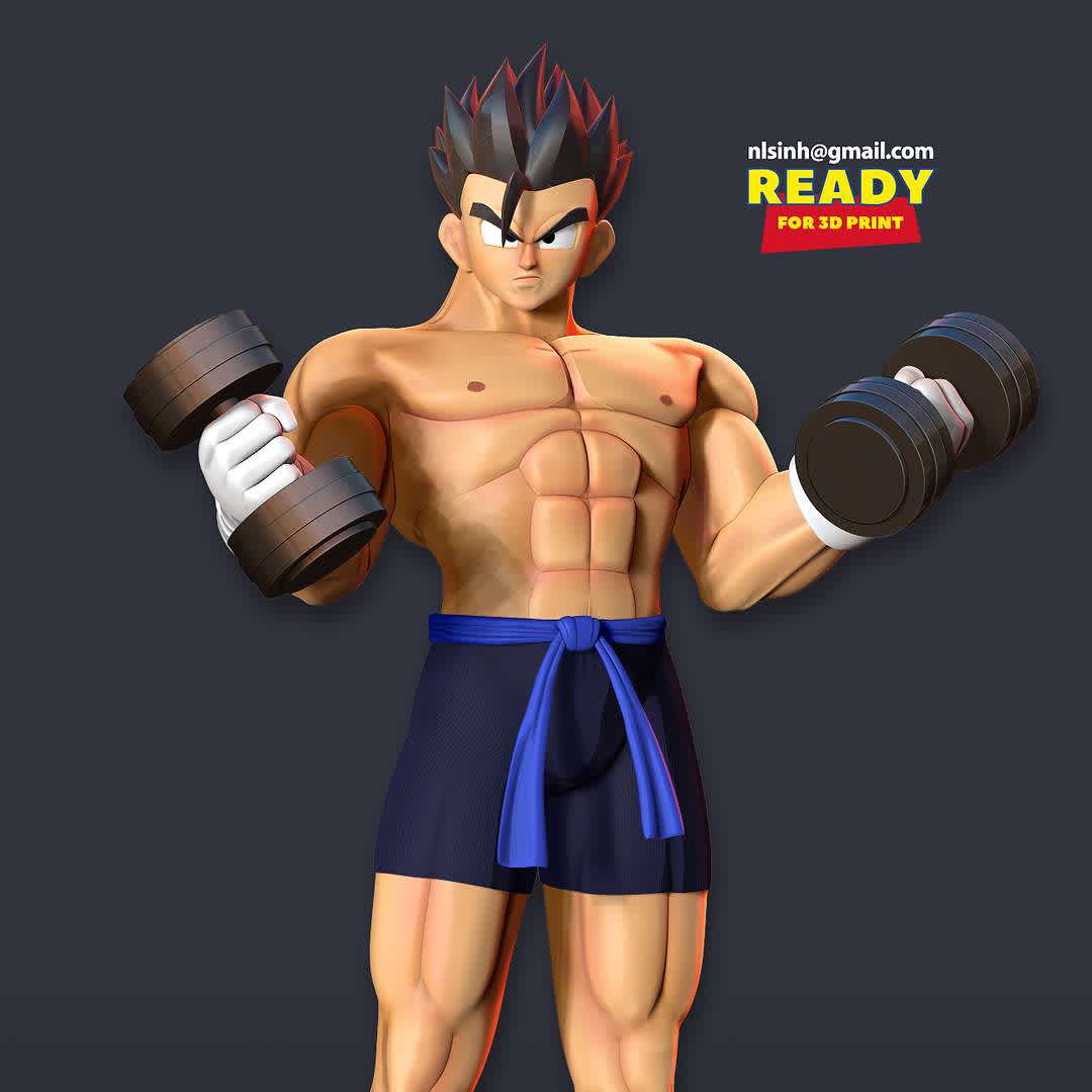 Gohan with gym, undefined