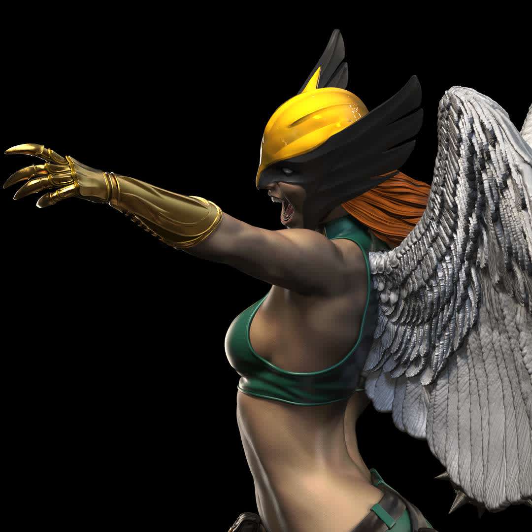 Hawkgirl Statue, undefined