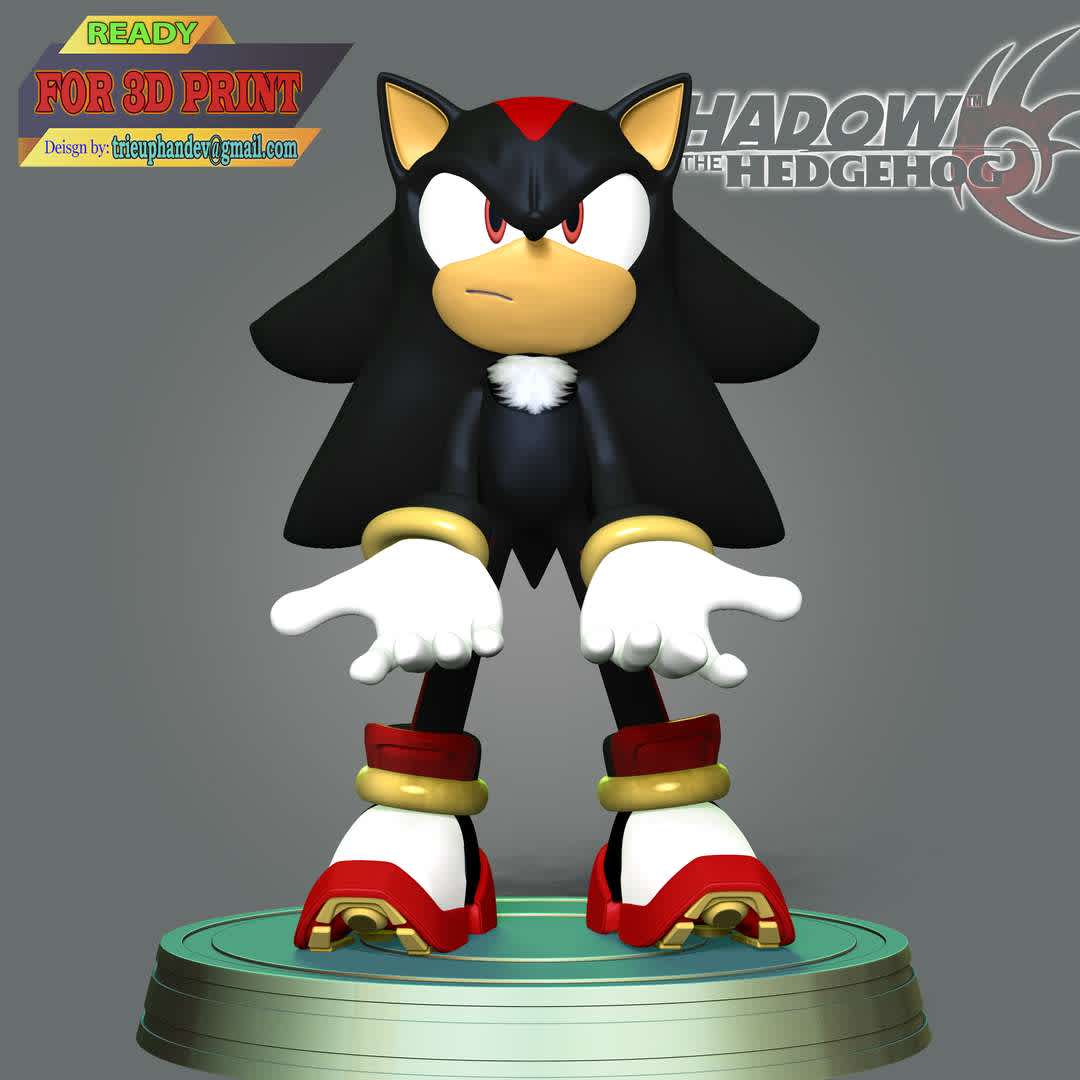 Shadow The Hedgehog, undefined