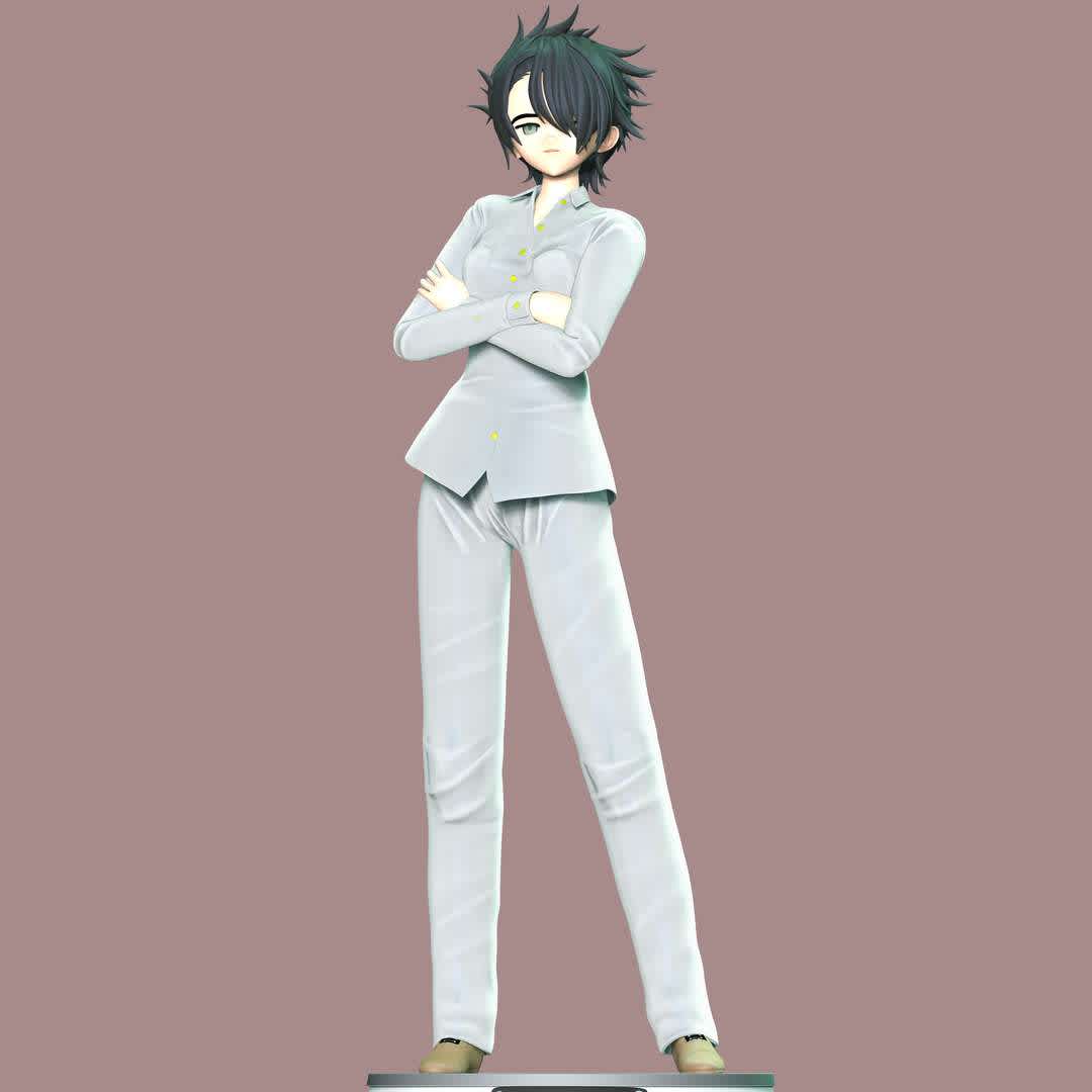 The Promised Neverland - Ray, **Ray is one of the deuteragonists of The Promised Neverland alongside with Norman.**

**The model ready for 3D printing.**

These information of model:

**- Format files: STL, OBJ to supporting 3D printing.**

**- Can be assembled without glue (glue is optional)**

**- Split down to 2 parts**

**- The height of current model is 20 cm and you can free to scale it.**

**- ZTL format for Zbrush for you to customize as you like.**

Please don't hesitate to contact me if you have any issues question.

If you see this model useful, please vote positively for it.