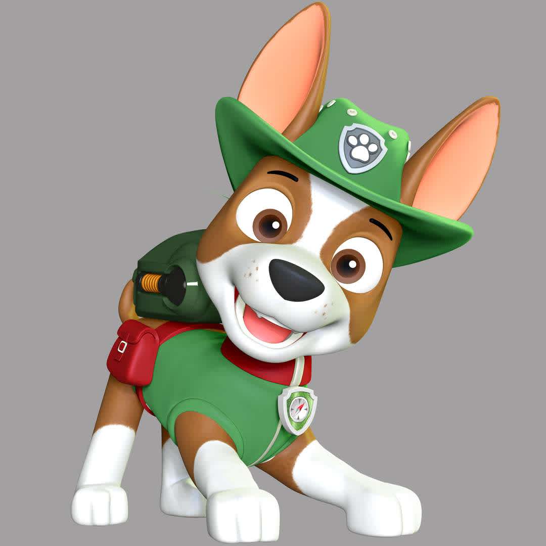 Tracker - Paw Patrol, undefined