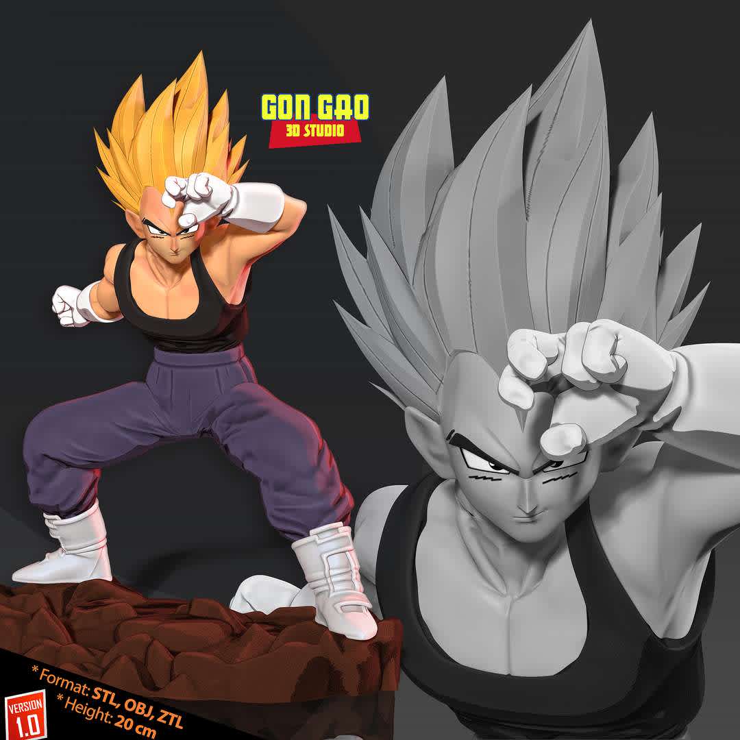 Vegeta took a defensive stance, undefined