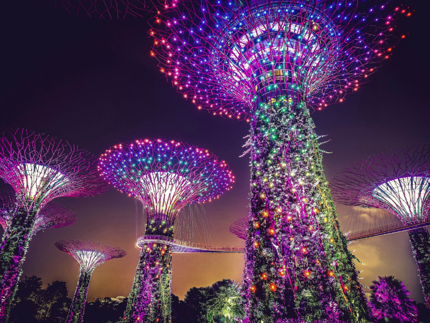 Singapore rose garden.png