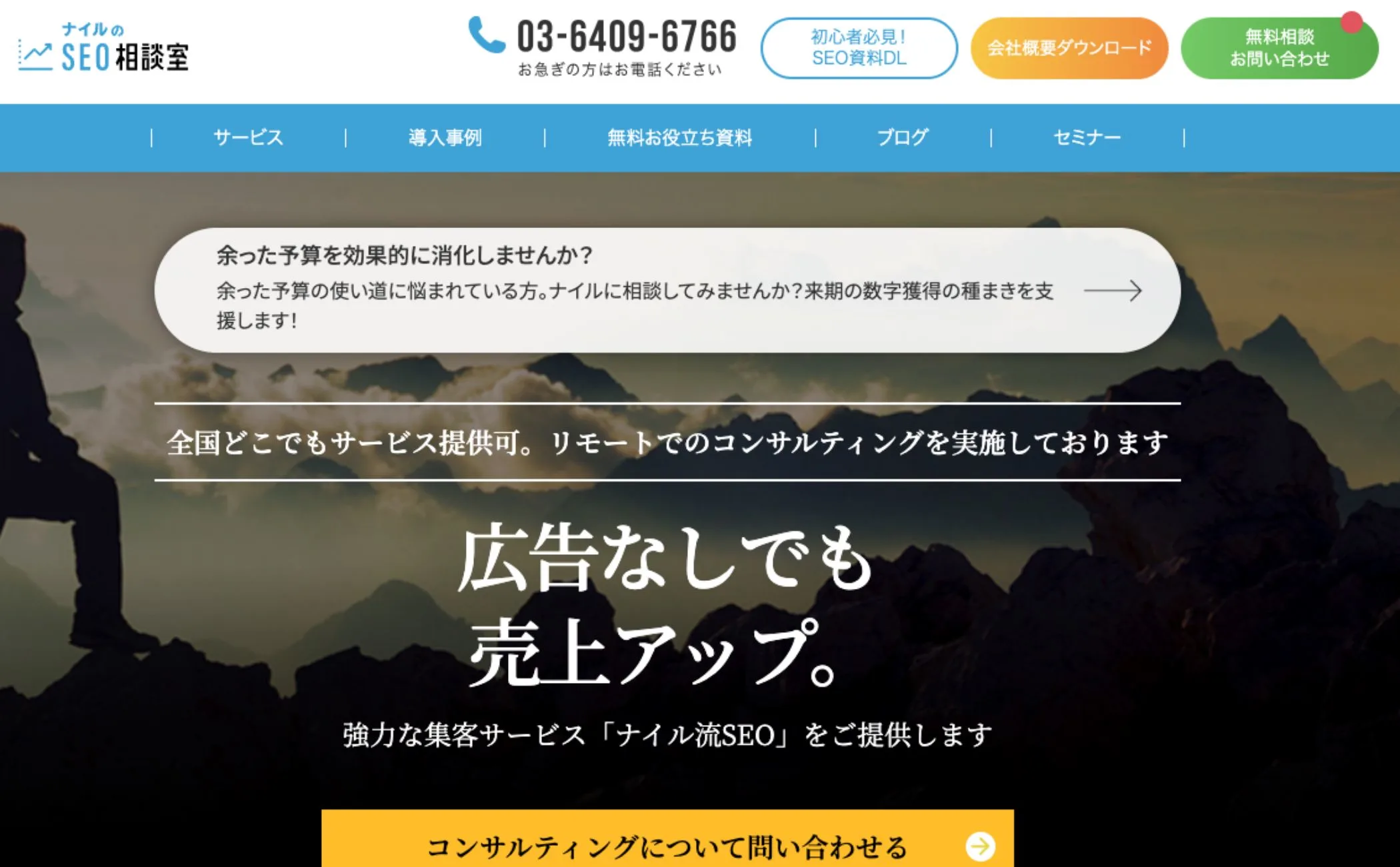 ナイル株式会社