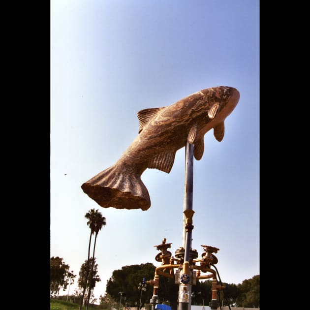 Leaping Fish, Nature’s Cycles