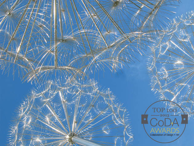 Dandelions Wroclaw