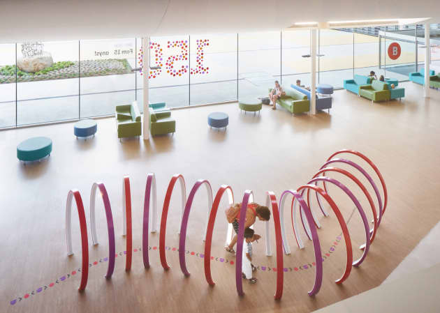 The Human Body – SJD Barcelona Children’s Hospital
