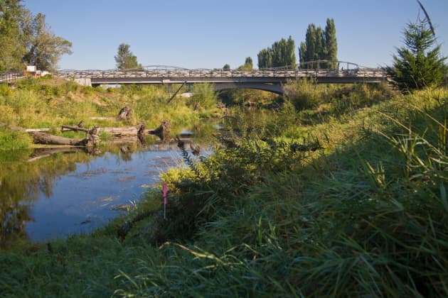 Sammamish Meander, York Bridge Replacement Project