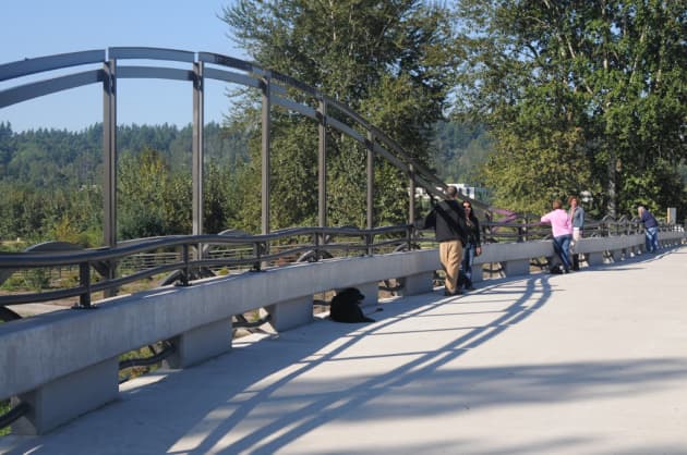 Sammamish Meander, York Bridge Replacement Project