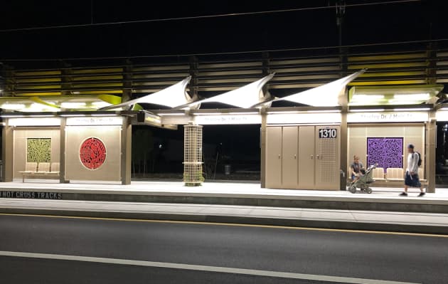 Flora, Fauna, Humana (Night), 2019.