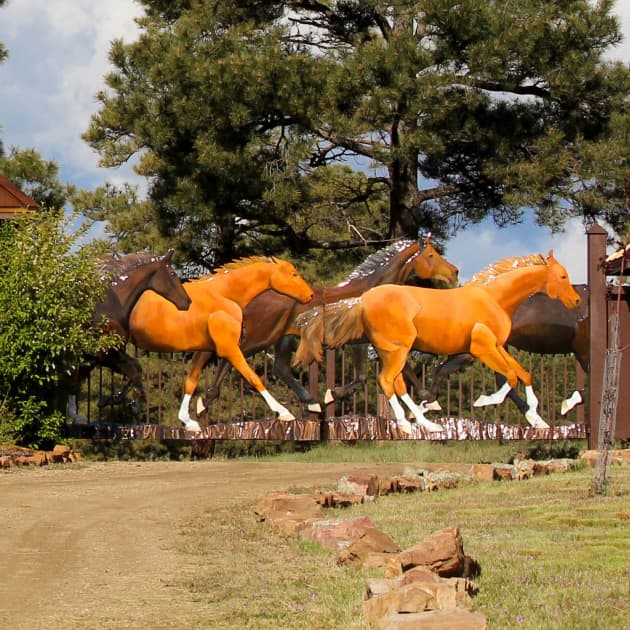Ten Horses Running Gate
