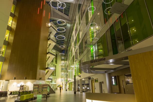 The public art programme for Southmead Hospital, Bristol, UK