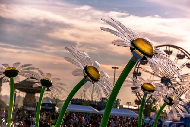 The Daisy Patch