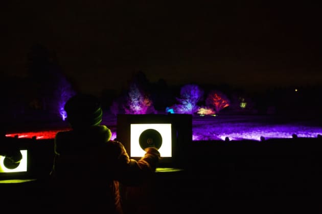 Illumination at The Morton Arboretum