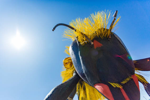 Bee or Not to Bee