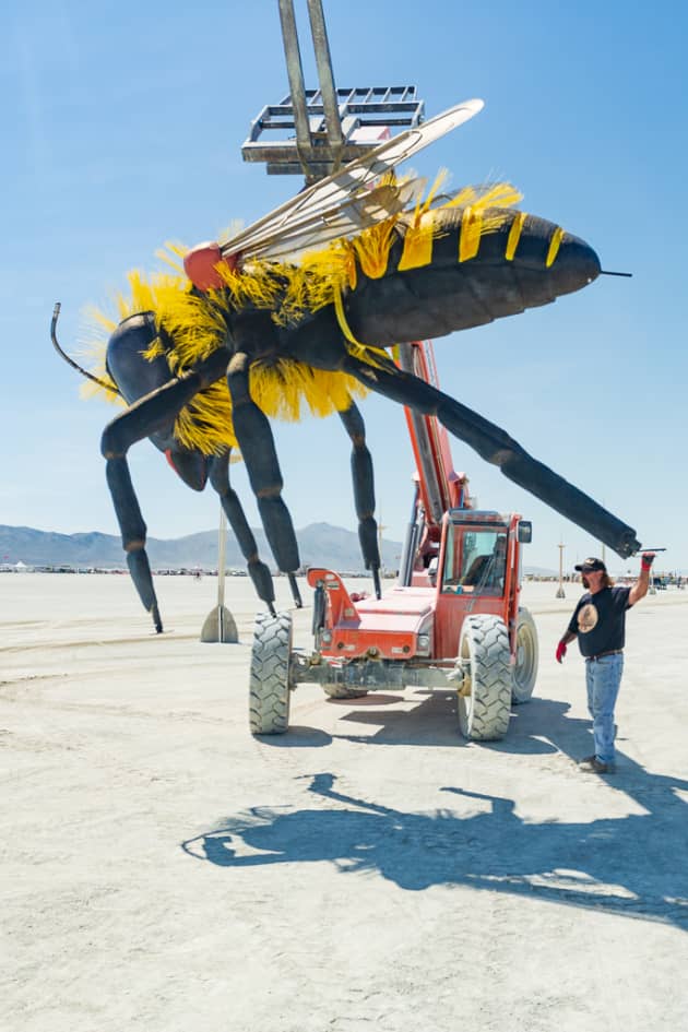 Bee or Not to Bee