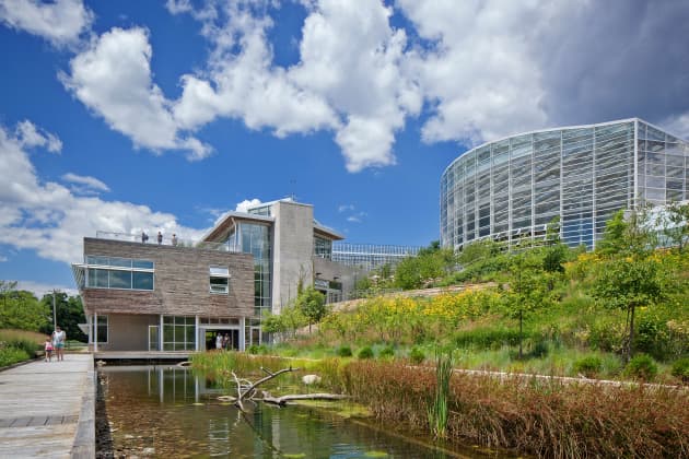 The BETA Project: Biophilia Enhanced Through Art