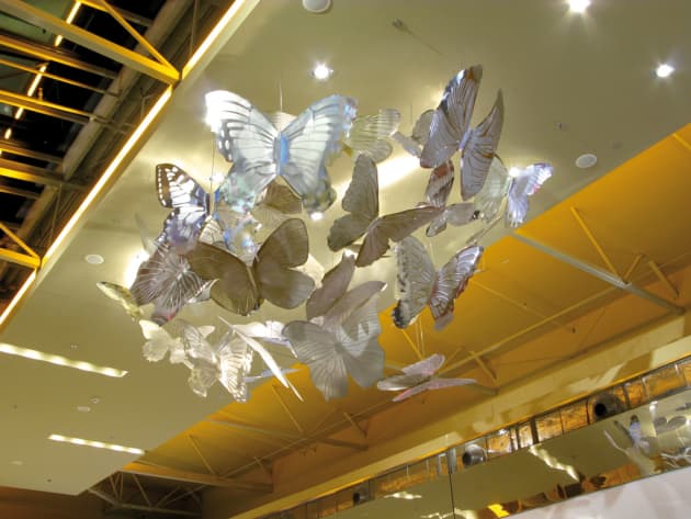 Butterflies