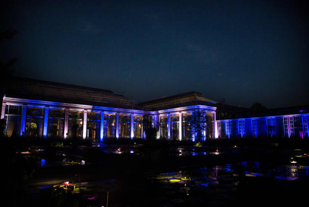 Nightscapes