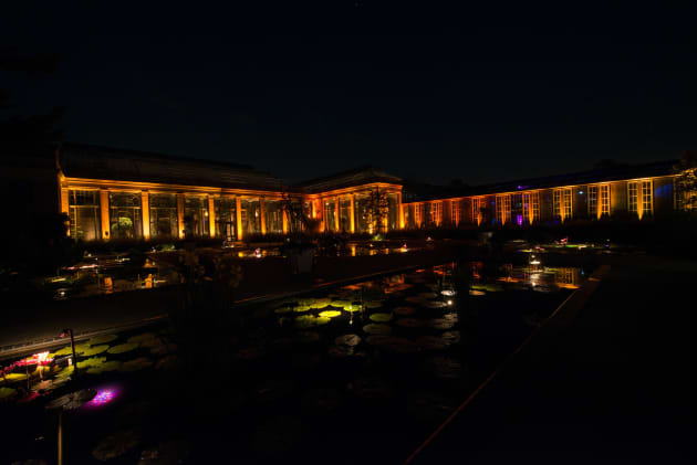 Nightscapes