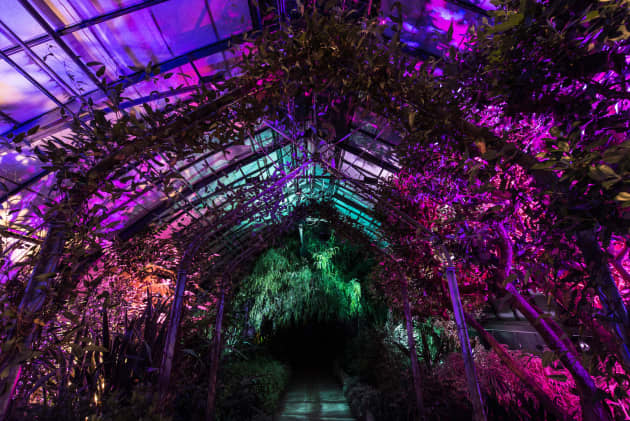 Nightscapes