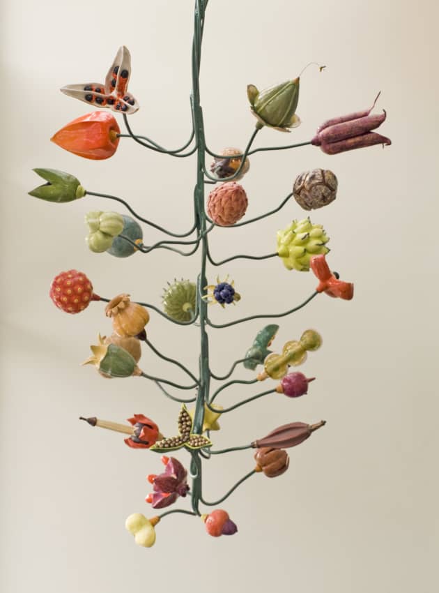 Seeds of Knowledge