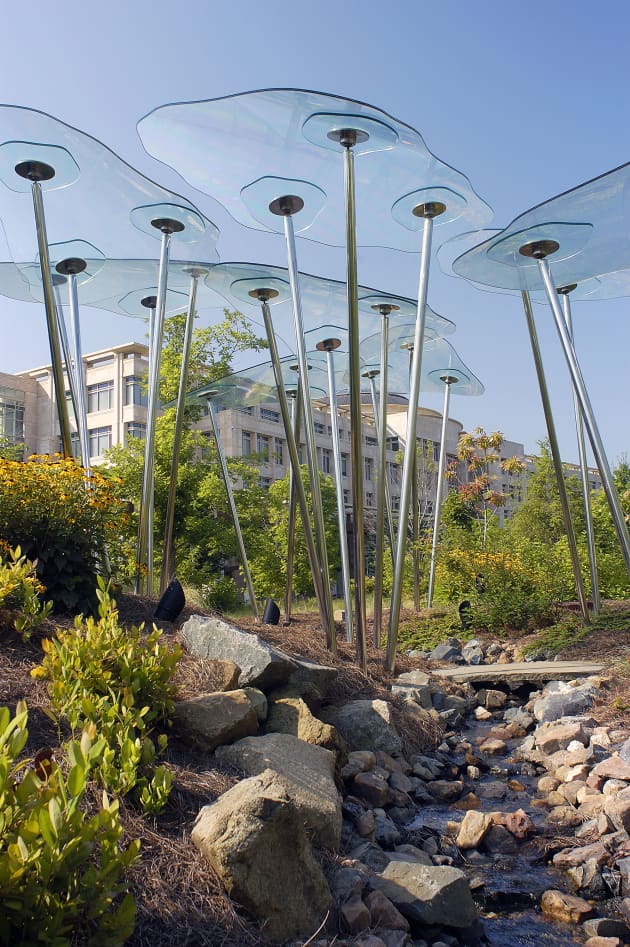 Glass Forest