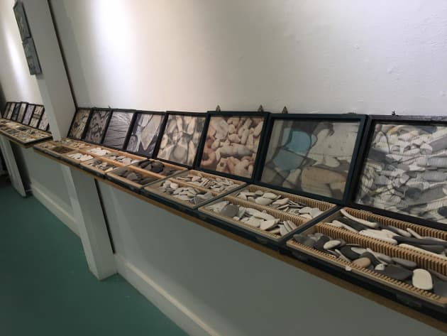 A Taxonomy of Sorts