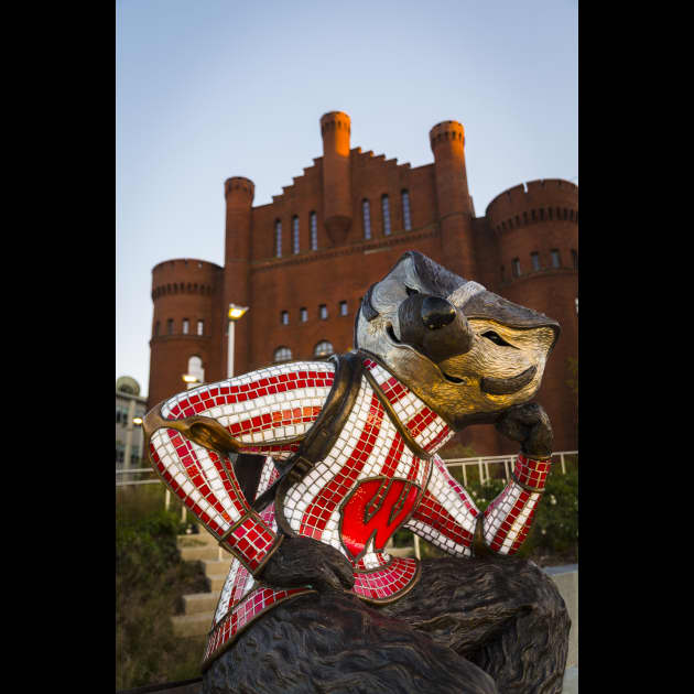 Bucky Badger