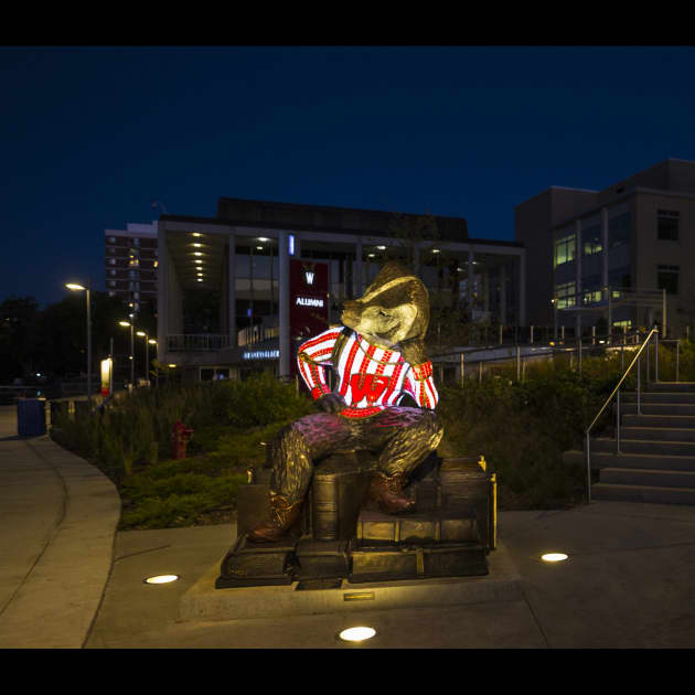 Bucky Badger