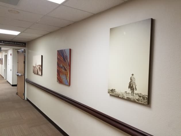 Memorial Hospital Remodel Interior Art