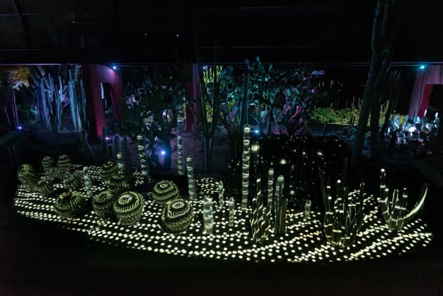 Electric Desert
