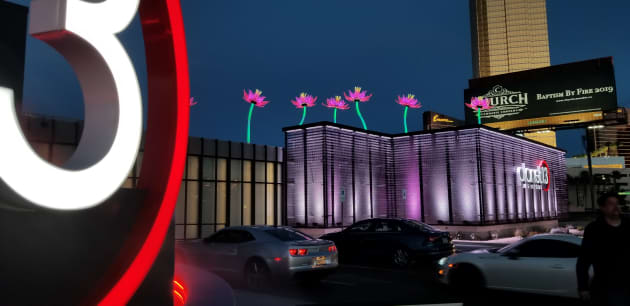 Interactive Lotus Blossoms