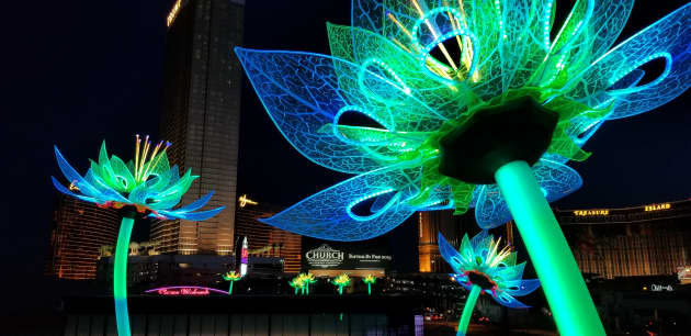 Interactive Lotus Blossoms