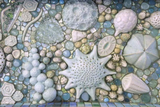 Syncopation Sea; The Benthic Zone
