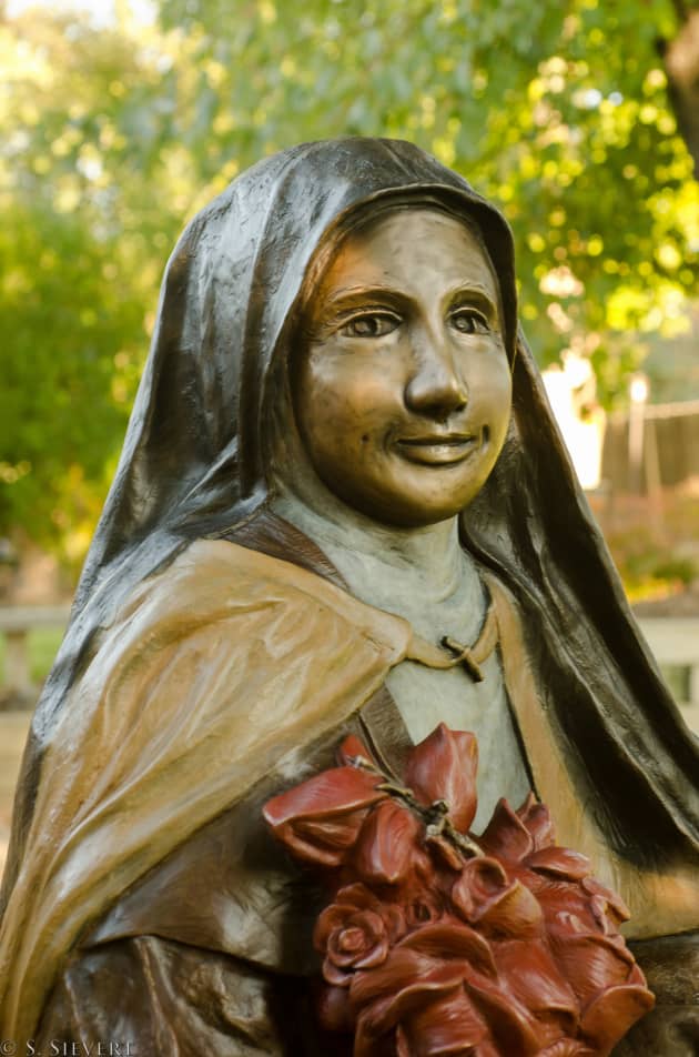 The Little Flower (Saint Therese of Lisieux)