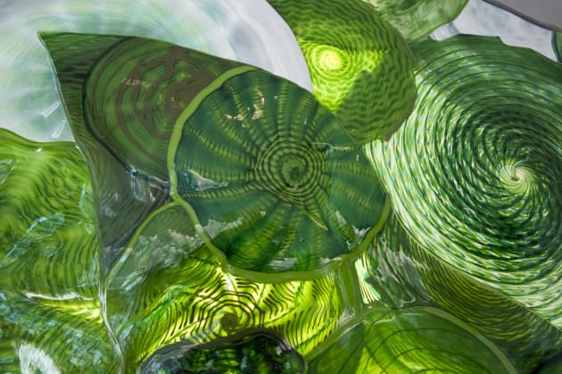 Flora