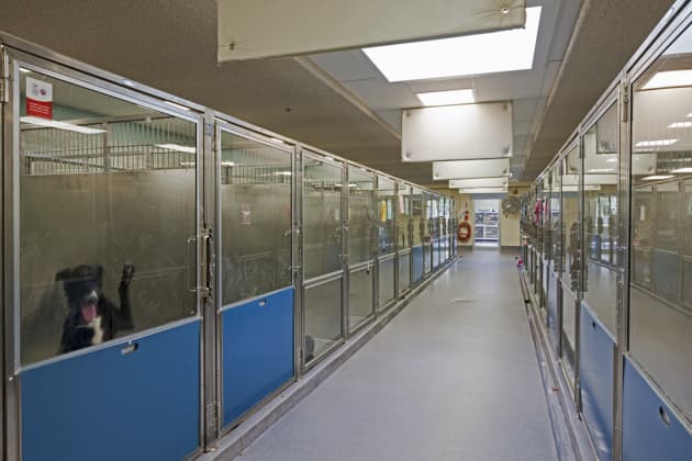Maryland SPCA