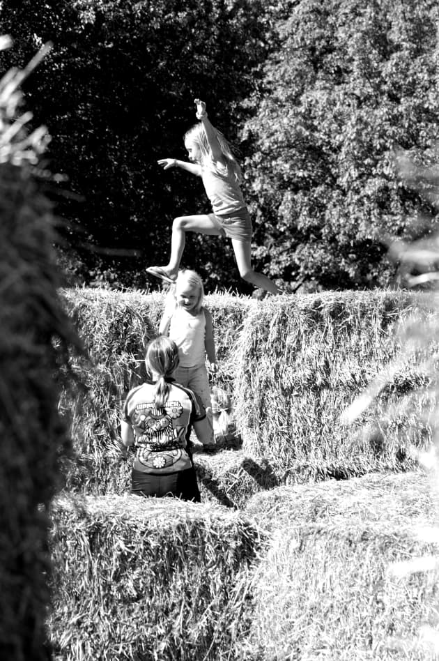 Haymaker